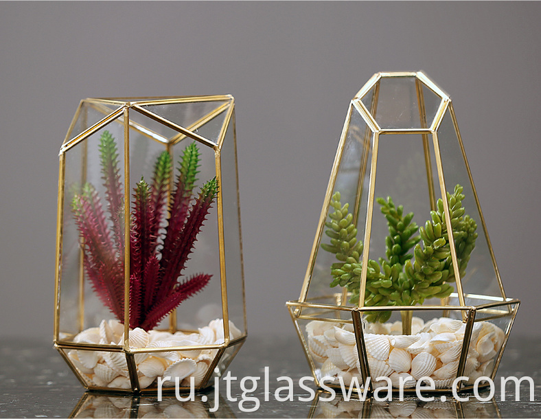 Plant Glass Terrarium Geometric